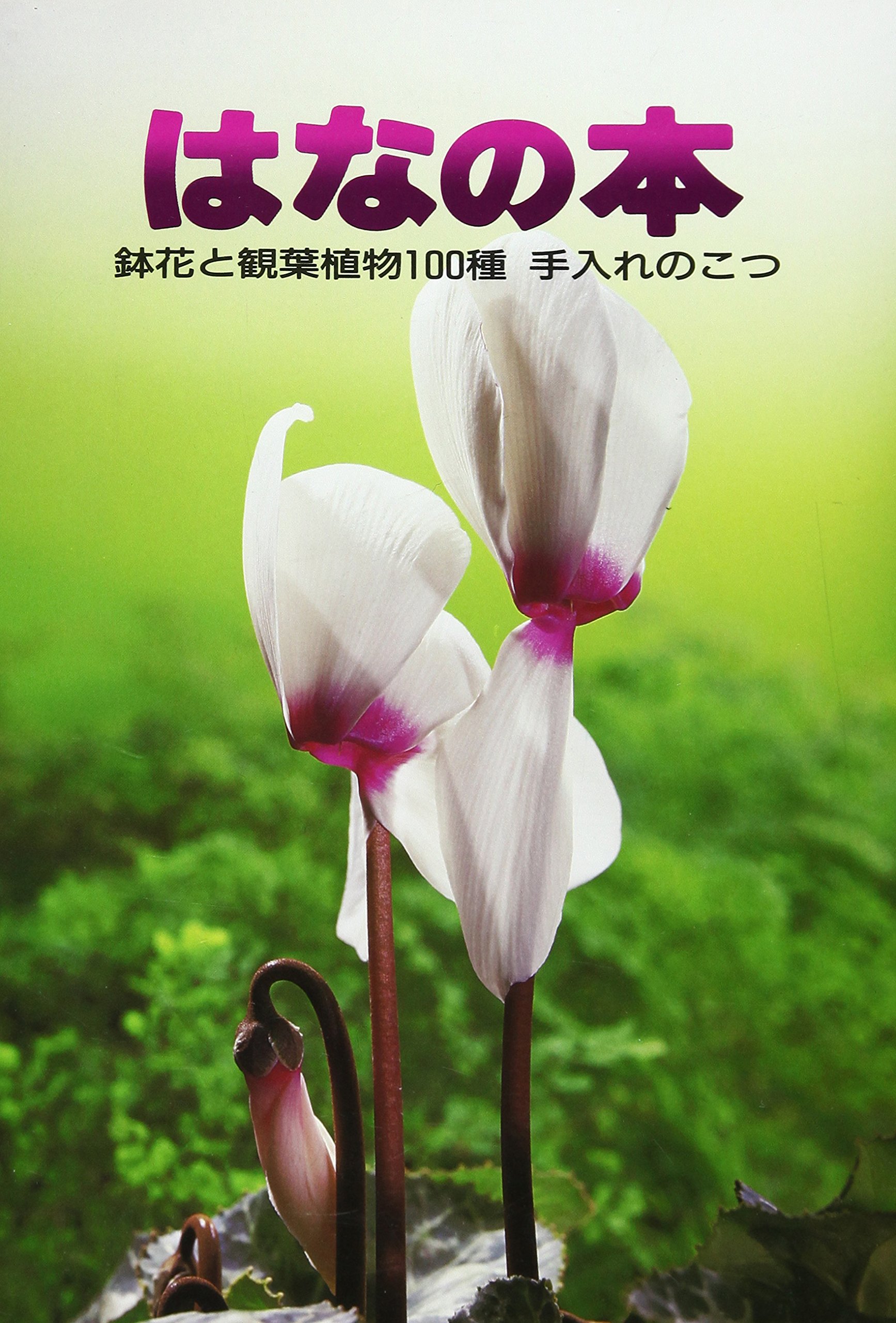はなの本―鉢花と観葉植物100種 手入れのこつ (家庭の園芸) | 渡部 弘